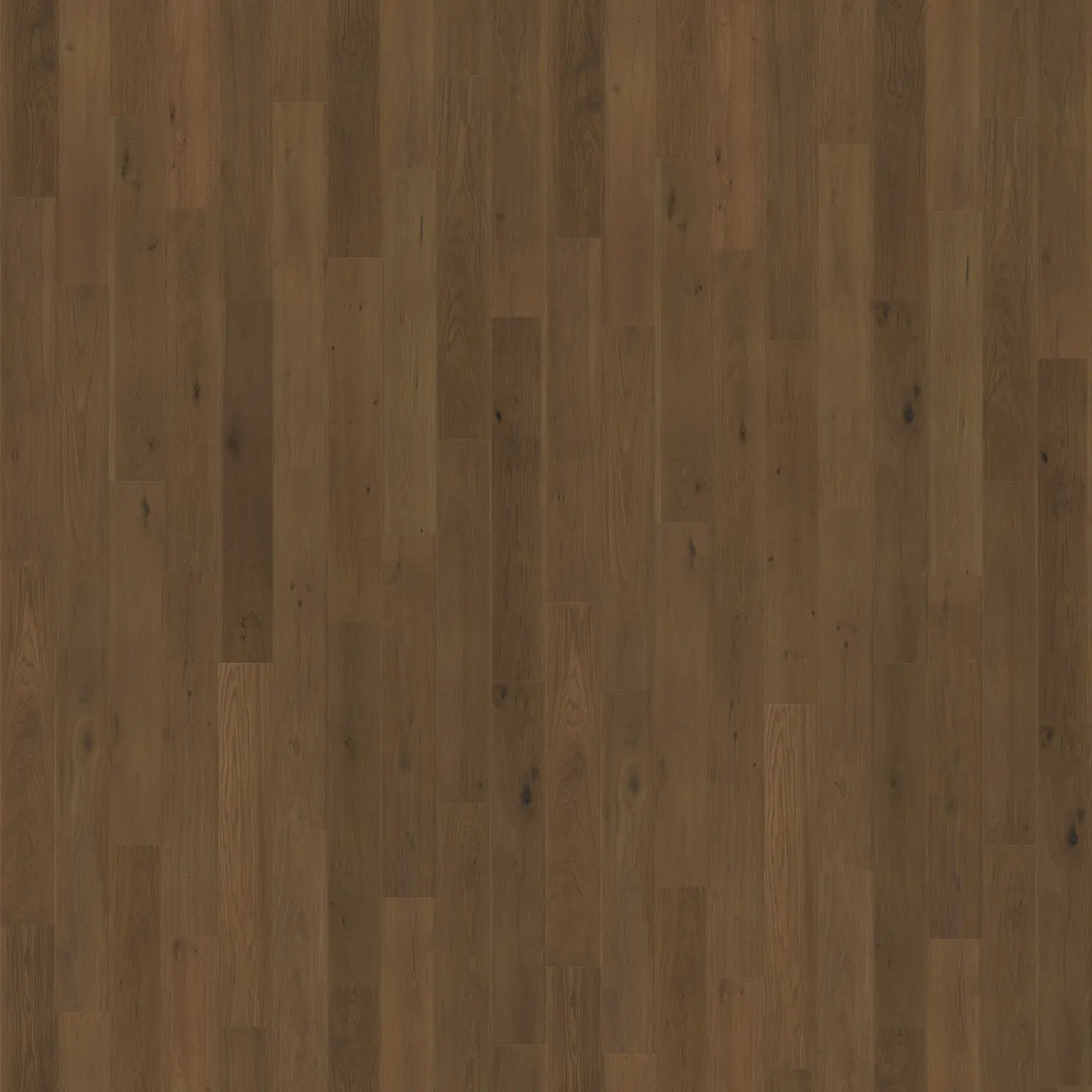 Reyes Reserve flooring installed in modern home